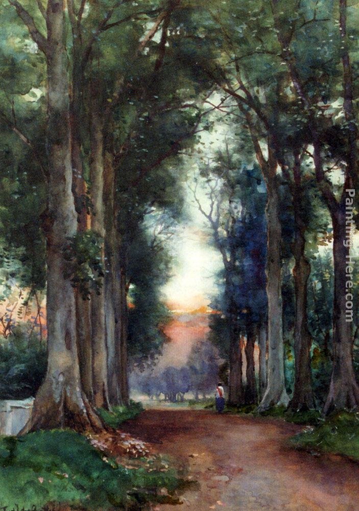 Fredericus Jacobus Van Rossum Chattel Kanarielaan, Tjandi, Semarang